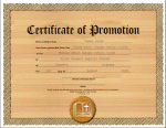 picture of award with wooden background; this sample award went to Tamas Vajda of Cusseta, Alabama for being promoted from the Young Adult Class to the Median Adult Sunday School Class